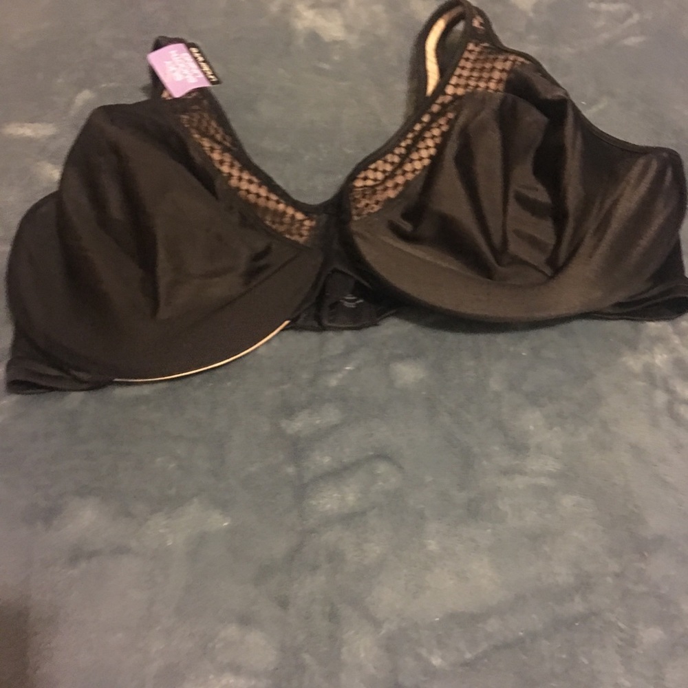 Bra! - Picture 5 of 5